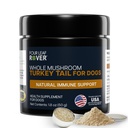 Turchia Tail Mushroom per cani - Intero, Estratto di funghi organici - Oltre il 50% Beta-Glucan - Terze Parti Testata, Made in the USA - Nessun Grains No Fillers - 60 giorni di alimentazione di cane grande