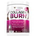 Vitauthority Collagen Peptides polvere perdita di peso supplementi | Complesso di bellezza idrolizzato per le donne, capelli pelle unghie | Fat Burning Support | Cioccolato aromatizzato 25 Serve