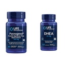 Estratto di corteccia di pino marittimo francese con equilibrio di ormone DHEA - 60 capsule Pycnogenol & 100 capsule DHEA 25mg