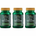 Swanson Zinc Carnosine (PepZin GI) - Integratore naturale Promuovere la salute gastrica e il supporto digestivo - Supporta l'equilibrio microbico nello stomaco - (60 capsule) (3 pacchetti)