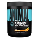 Animali Aminoacidi Juiced - BCAA polvere EAA Matrix Plus idratazione con elettroliti e sale marino in qualsiasi momento di recupero e prestazioni migliorate, aroma d'arancia, 30 Serve