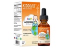 Kiddivit Baby Lactoferrin Gocce liquide – Integratore di supporto Immune Gentle – Formula 100mg con Inulina Prebiotica – 60 Serve Giornaliere – Zucchero Libero, Senza Glutine, Vegetariano, 2oz