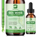 Gocce liquide del Moss del mare - Gel del Moss del Mar irlandese organico con Spirulina, Bladderwrack, Radice di Burdock, Seamoss Gel Supplemento per il supporto giunto, Detox Cleanse & Digestion Support - 2 Fl Oz, Vegan
