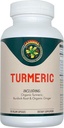 Carnivora curcuma – Supporto per giunti e salute digestiva (90 capsule vegane)