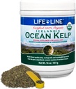 Linea di vita USDA Certificata Organic Ocean Kelp per animali domestici e bestiame | Supporta la salute della pelle e dei cappotti, la funzione immunitaria e l'igiene dentale | Promuove il metabolismo & riduce la placca e le fessure – 16 oz