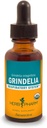 Estratto di liquido di Herb Pharm Grindelia per il supporto del sistema respiratorio - 1 oncia (DGRIND01)