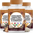 Leoni Mane Mushroom Supplemento con Turchia Tail Reishi Cordyceps Chaga con Marshmallow Root - 180 Conte