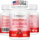 Urolitina A Supplemento 1400 MG - Non OGM, Senza glutine, Anti-invecchiamento, Rinnovamento cellulare, Forza muscolare, Supporto di resistenza e longevità, Urolitina A, 60 Conte