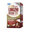 LABO Nutrition Bioactive Organic Lingzhi Reishi Ultra 7 Mushroom Extract Supplement Reishi Cordyceps Maitake Turchia Tail Agaricus blazei Murill Shiitake per il supporto immunitario, Vitality, USDA Organic