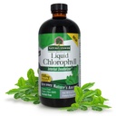 Natural's Answer Liquid Chlorophyll, 100 mg, 16 fl oz (480 ml)