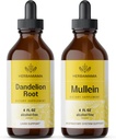 HERBAMAMAMA Kit di gocce liquide a base di erbe - Bundle di radice di leone e foglia di Mullein Tincture 4 fl oz - Vegan, Non OGM, Sugar & Alcohol-Free - 2 Pack