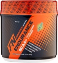 Endurance BCAA Plus, progettato per la formazione più difficile e più lungo con Beta Alanine, Melon, 434 Gram