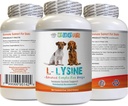 Supplementi di amminoacidi per cani - Polvere di LYSINE per cani - Forma di polvere pura - Supporto di sistema immunitario - Vet Consigliato - Cani di lisina - 1 Bottiglia (8oz 226.8 Grammi)