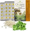 Oreganic Plus Mastic - Oregano Essential Oil Capsule &amp; Chios Mastice Gum Oil - Wild Oregano Olio Capsule Organici - Immune Booster e Intestinal Support - Non-GMO - 30 Count Blister