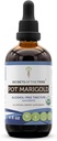Segreti della Tribe Pot Marigold USDA Organic | Alcohol-Free Extract, High-Potency Herbal Drops | Realizzati in 100% Organic Pot Marigold (Calendula, Calendula Officinalis) Dried Flower (4 oz)