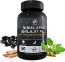 Shilajit Himalayan Supplemento 60% Acido Fulvico, 120 capsule vegane Fornire con puro Shilajit naturale, Ashwagandha, Ginseng Extract - Alta in Trace Minerals for Men Energy Support