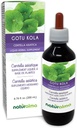 Naturalma Gotu kola (Centella asiatica) erba Alcohol-Free Tincture - 6.76 fl oz Liquid Extract in Drops - Herbal Supplement - Vegan
