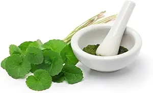 (Pack of 2) Polvere organica Centella Asiatica (50g)