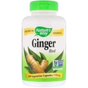 Nature's Way Ginger Root 550 mg, capsule 180ea