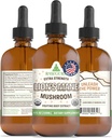RawGuru Lion's Mane Mushroom Tincture - Vegan Lion's Mane Extract with Trace Minerals - Nano-Processed Immunity Boost & Cognitive Supplement - 120 Serve di Vegan Drops per 120 ml, Confezione da 1