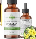 Mullein Tincture – Gocce di Mullein Organiche per supporto polmonare e benessere respiratorio – Made in the USA – 2 Fl Oz