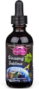 Dragon Herbs Ginseng Sublime Drops | Tutti gli estratti naturali Supplemento per sostenere l'energia, lo stress, il fuoco, la pelle, la resistenza, polmoni, la salute immunitaria | americana, rossa e bianca Ginseng | 2 fl. oz
