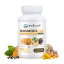 Joint Immune Support Supplement, Brevettato Blend Turmeric Curcumin C3 Complex con Pepe Nero, Boswellia PS Extract & Ginger, Fast-Acting 20 minuti, 8 ore di rilascio prolungato, 120 Caplets - Sanjevani