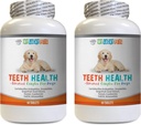 Cane traspirante Tablets - Advanced Teeth Health for Dogs - Combatte il cattivo respiro - Migliori look Gums e denti - Vitamina c for Dogs Pills - 120 compresse (2 bottiglie)