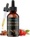 Supplemento 3000mg - Attivatore AMPK ad alto assorbimento, Complesso HCl di Berberina Organica con Ceylon Cinnamon & Ginger per Immune & Digestion (2 fl oz)