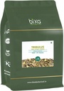 bixa BOTANICAL Gokhru/Tribulus (Tribulus Terresteris) Dry Extract - 40% Saponins by Gravimetry | Confezione da 1 | Supports Genito-Urinary Health & Muscle Build