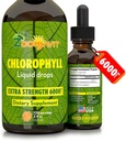 Clorofilla Liquid Drops 100% Organic Vegan - Energy and Immune System Booster Supplemento con Mint Flavor per Acqua - Deodorante Interno Naturale - Extra Forza 6000mg 120 Serve