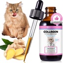 Collage per gatti 2 fl.oz, collagene liquido per gocce di gatti, Collage a base di erba Premium per la pelle del gatto e il supplemento di cappotto, Rilievo di Itch per il gatto con l'immunità di Allergies, con Collageni di Bovini, Biotina, MSM