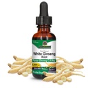 Risposta della natura Ginseng alcool radice bianca gratis 1 oncia fluida | supporto immunitario | promuove la funzione cognitiva | Clarity mentale e messa a fuoco