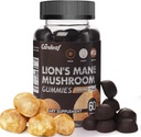 Leoni Mane Mushroom Gummies per Nootropic Brain Supplemento, Supporto immunitario,Stress Relief Mushroom Supplemento Berrry Flavor 60 Conte