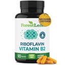 ForestLeaf Vitamina B2 Riboflavin 400mg - Energy, Skin & Cellular Health Supplement - Nervous System Support - Vitamina B 2 VIT B - Non-GMO & Gluten Free - B2 Vitamin 400mg Capsule vegetali, 90 Count