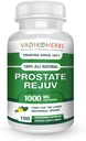Certificato organico Vadik Herbs Prostate Rejuv Herbal Dietary Supplement | promuove la salute della prostata sana e riduce i sintomi correlati, supporta il normale funzionamento della prostata (1 pacchetto)