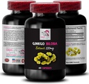 Ginkgo biloba Supplemento - Ginkgo BILOBA Extract - Estratto di antiossidante naturale, Supporto antiossidante a base di erbe, Ginkgo biloba Vantaggi, Integratore di Estratto Botanico, Antiossidante a base vegetale 1 Bot 60 Caps