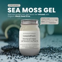 Ashwagandha Mango Sea Moss Gel Frutta fresca organica infusa Wild Harvested Irish Sea Moss Gel | Supporto immunitario e digestivo | Vitamin Mineral Antiossidant Supplements | (16 oz. Ashwagandha Mango)