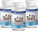 cane di sollievo della vescica renale - DOG URINARY TRACT SUPPORT - NATURAL CRANBERRY SOLUTION - BLADDER HEALTH - VET RECOMMENDED - supplemento di mirtilli di cane in polvere - 3 Bottiglia (270 Treats)