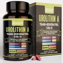 Urolitina Un supplemento per le donne di lavoro urbane: Capsule anti-invecchiamento con Trans-Resveratrolo e CoQ10 - Supporto verificato dal laboratorio USA Affinamento sano e rinnovamento cellulare (9in1)