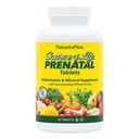 Natura Plus Sorgente di Vita Prenatale - 800 mcg Folate, 90 compresse vegetariane - Tutte le vitamine e minerali prenatali naturali con ferro e calcio - Salute ottimale & energia - Gluten-Free - 45 Serve