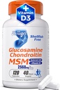Glucosamina Chondroitin MSM + Vitamina D3 | Integratore congiunto senza Shellfish per la mobilità, Flessibilità & Bone Salute | Non OGM, Gluten-Free, Soy-Free – Formula 7-in-1 per uomini e donne