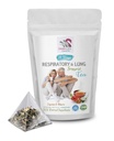 vitamine respiratorie - RESPIRATORY E LUNG SUPPORT TEA 14 giorni con cannella, isbisco, radice di Marshmallow, astragalus, menta piperita, foglia di tè di eucalipto 1 confezione 14 Sacchetti di tè
