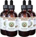 Estratto di liquido senza alcool di Hibiscus, Ibiscus organico (Hibiscus Sabdariffa) Dried Flower Glycerite Hawaii Pharm Natural Herbal Supplement 4x4 oz