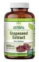 Estratto di semi di erbe 400 mg 120 capsule vegetali Supplemento - Non OGM - Gluten Free