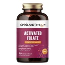 Integratore DFE di Folate-L 5-MTHF - Methylfolate B9 MTHF con vitamina B12, CoQ10, & Red Raspberry - Metilato L-metilfolato per Uomini e Donne - 500 mcg - 90 capsule vegetali