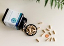 Ashwagaandha Supplemento organico KSM-66 Ashwagaandha Integratore Vegetariano 180 capsule, 1000mg per servizio giornaliero, Aiuto Supporta la risposta sana di gestione dello stress, Cancella