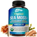 NutriFlair Organic Sea Moss 1600mg, 120 Capsule Plus Bladderwrack & Burdock - Prebiotic Super Food - Sistema immunitario e salute digestiva - tiroide, pelle sana, Keto Detox, Gut