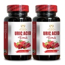 URIC Acid Support - Restore Joint Comfort, Mobility, Flessibilità, Include Tart Cherry, Chanca Piedra, Celery Extract & Turmeric - 2 Bottiglie 120 Capsule