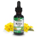 Risposta della natura Mullein Herb - Mullein Leaf Extract for Lungs - Alcohol Free, Non OGM, Made in USA - Supporta la funzione respiratoria e promuove polmoni sani - Mullein Leaf 1 Ounce Extract